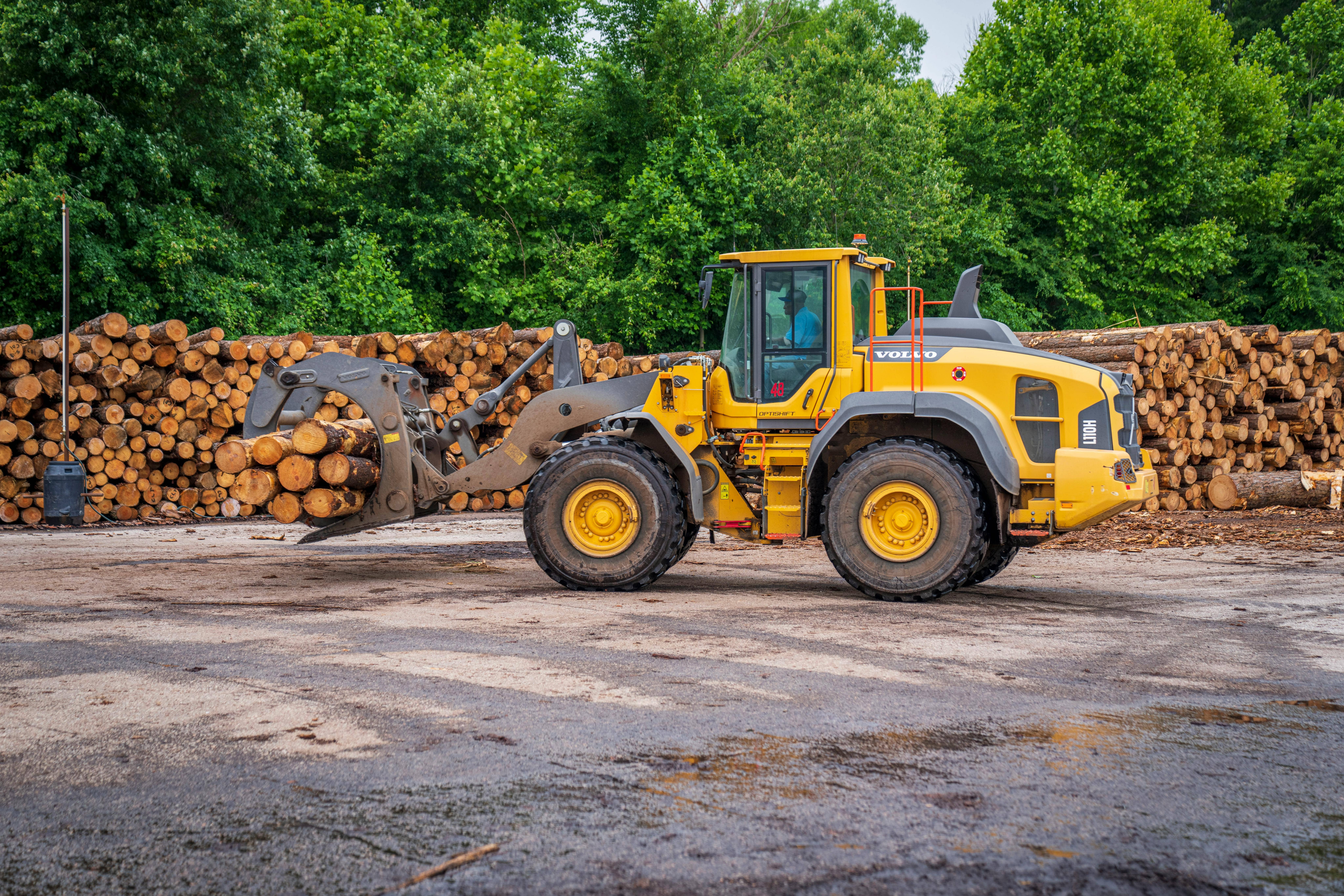 Lumber yard team member checking material quality and order details before pickup